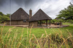 Makhato 19 - Sondela Nature Reserve