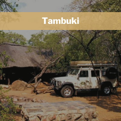 Tambuki - Sondela Nature Reserve