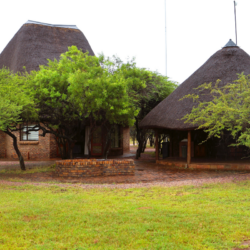 Makhato 17 Main Image Makhato 17 Main Image